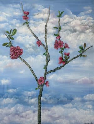 La Forza della fragilità